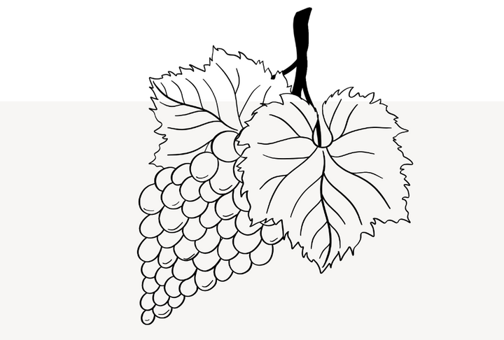 animation image