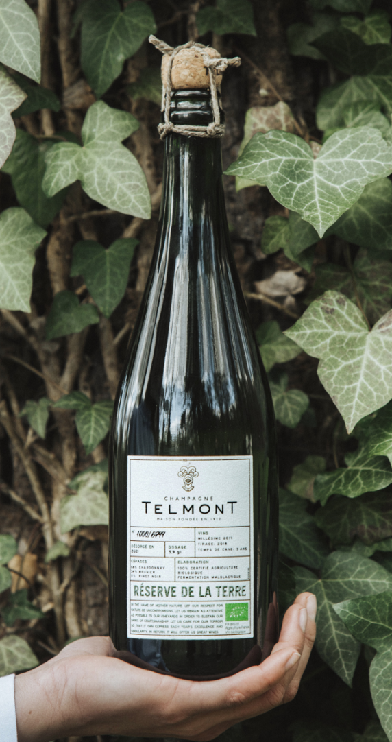 ヴィノテーク – Champagne Telmont Japon ヴィノテーク – Champagne Telmont Japon